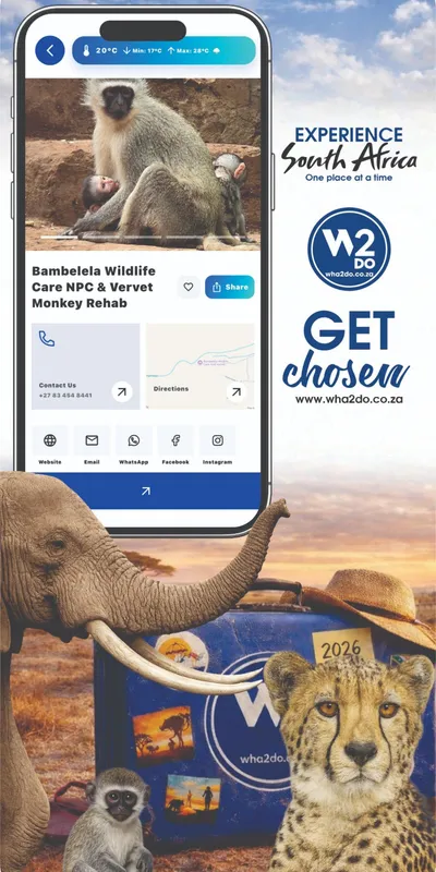 Wha2do App - Discover