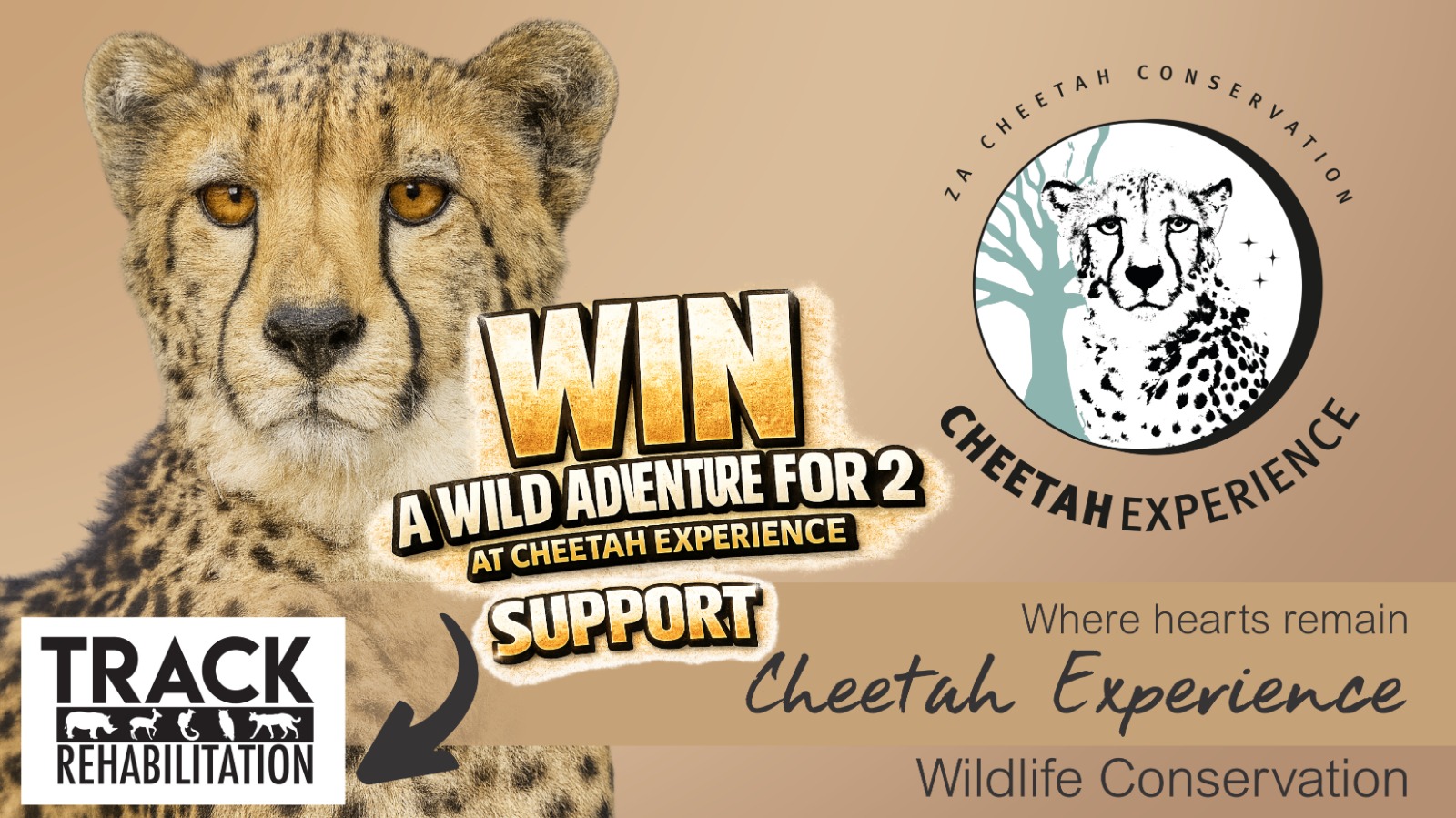 WIN A WILD ADVENTURE FOR 2 AT CHEETAH EXPERIENCE