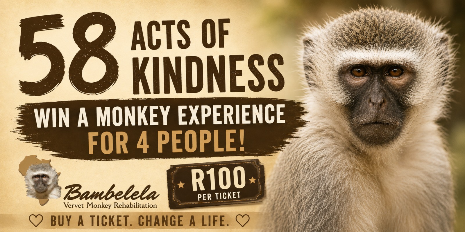 WIN A MONKEY EXPERIENCE FOR 4 PEOPLE