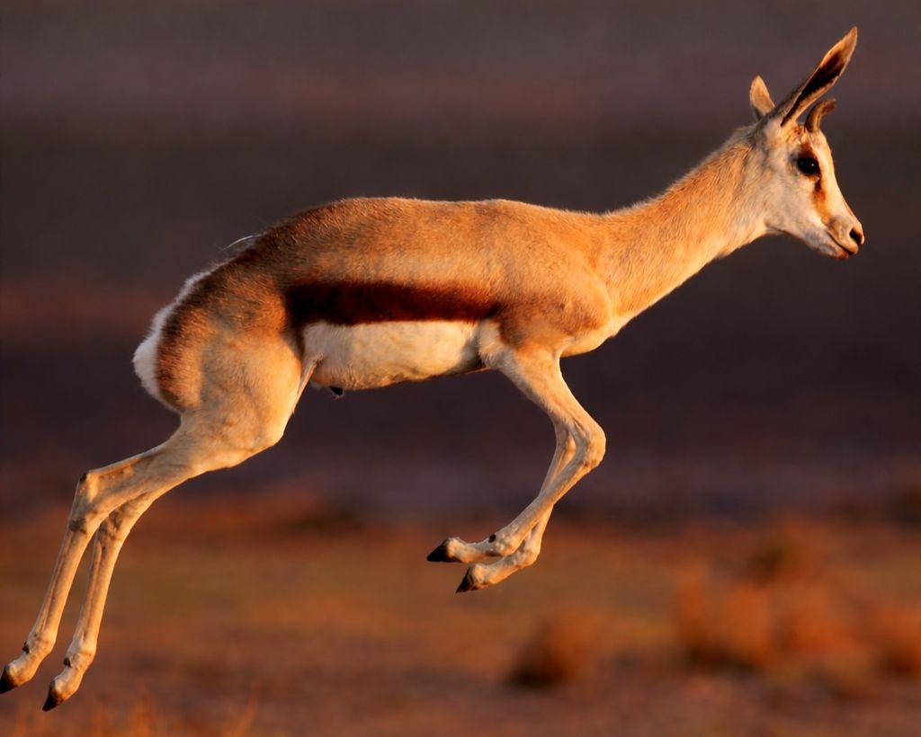 March 2026 - Late Summer - Mild